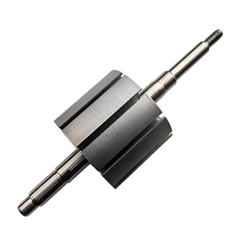 Motor Rotor